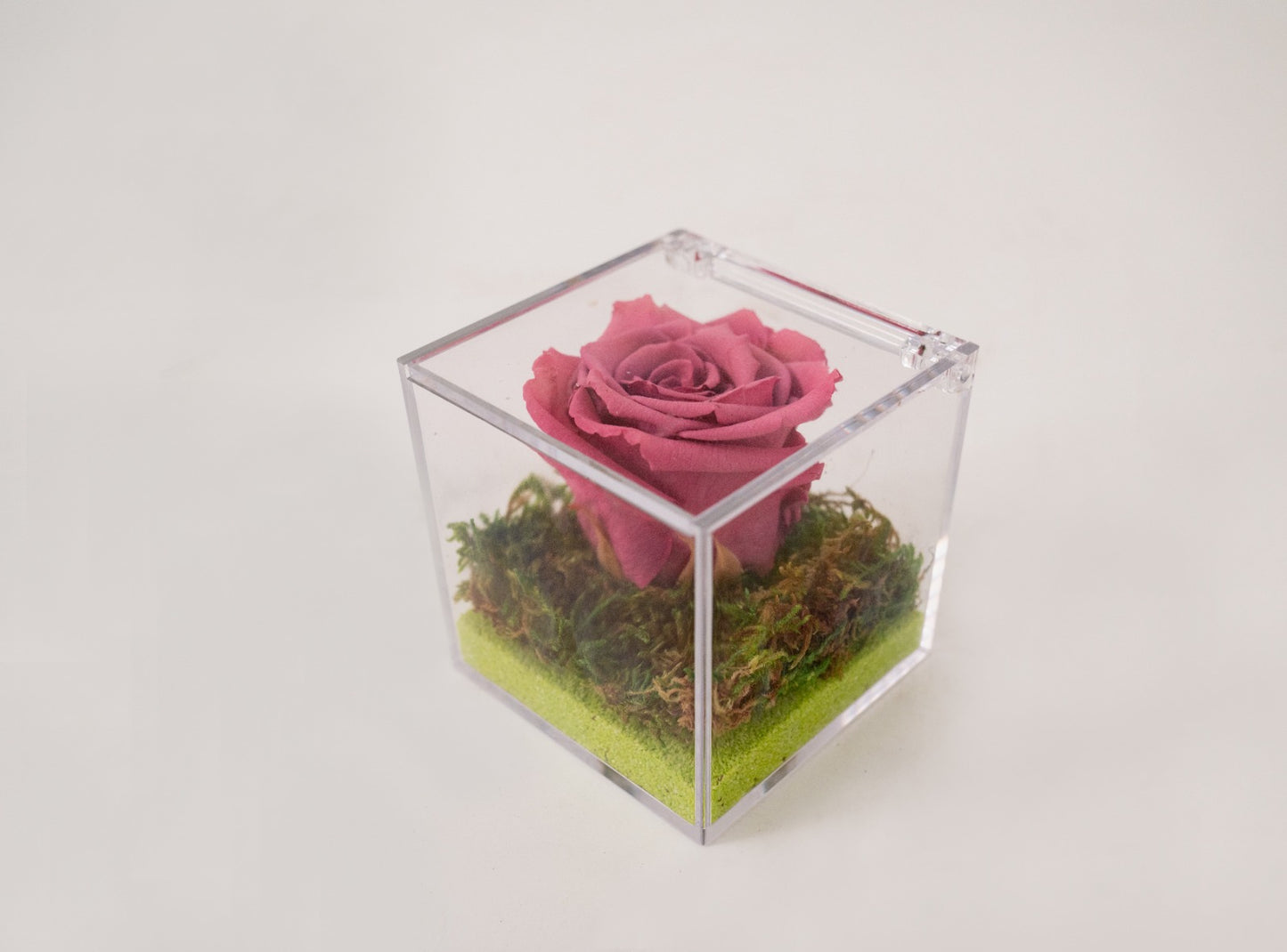 Rosa Stabilizzata Oro Rosato