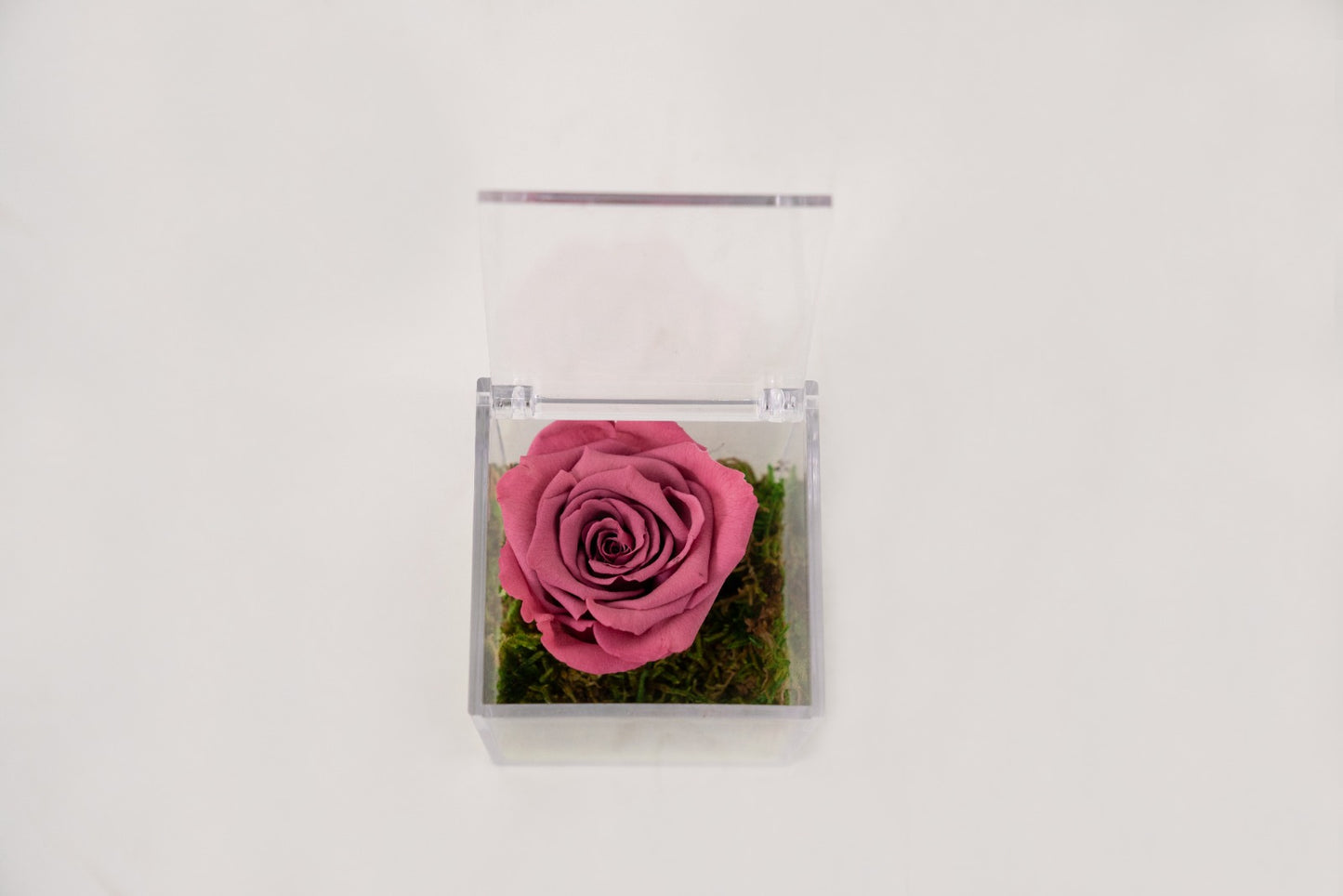 Rosa Stabilizzata Oro Rosato